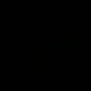 Meet your Posher, Cesar